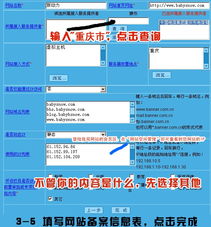 大連新圖聞科技 一站式網站建設與網絡推廣解決方案